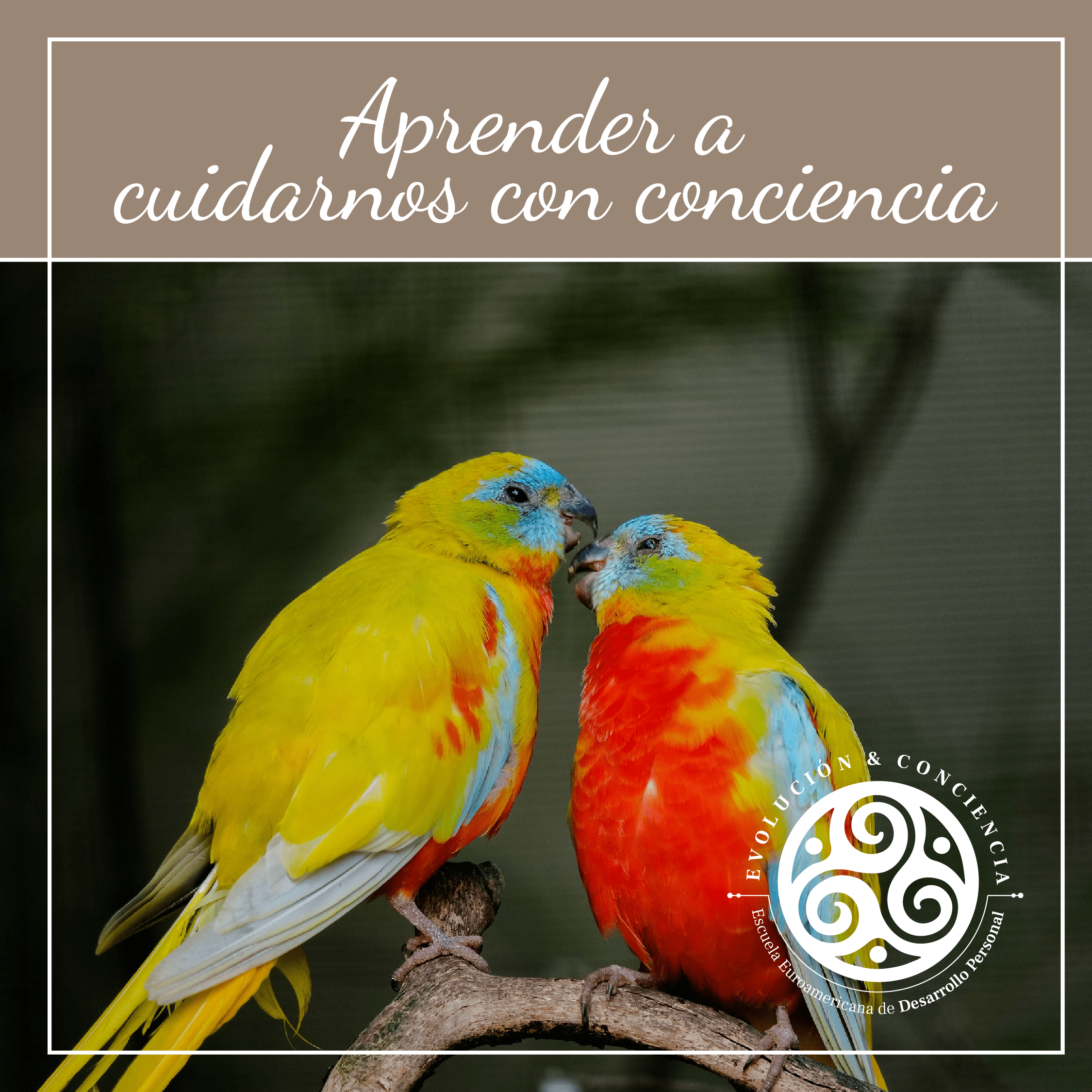 Aprender a cuidarnos con conciencia
