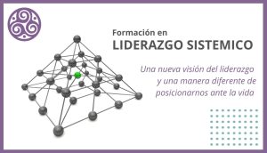 Curso liderazgo sistemico