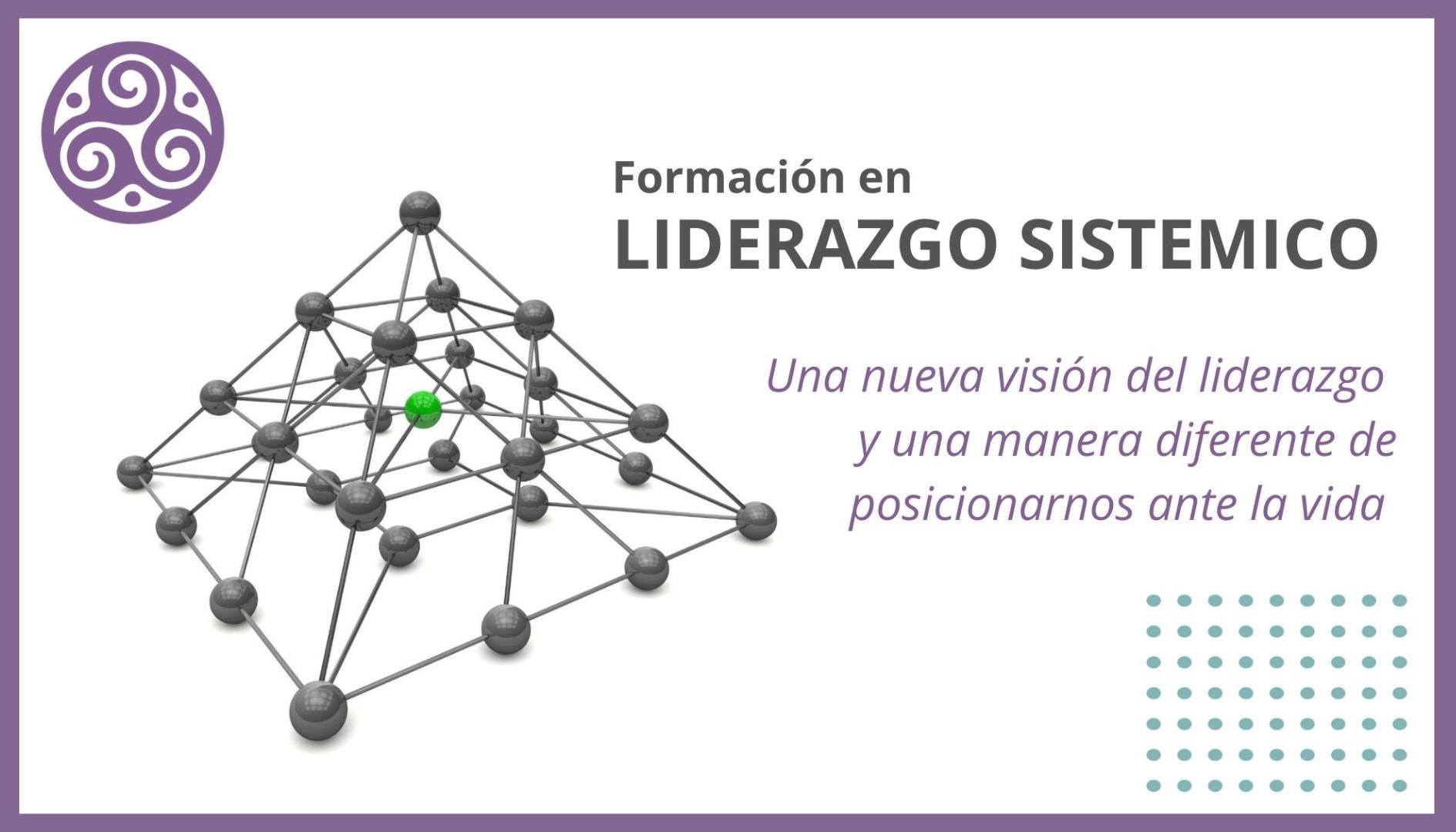 Curso liderazgo sistemico
