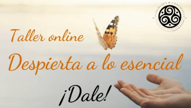 Taller despierta a lo esencial DALE